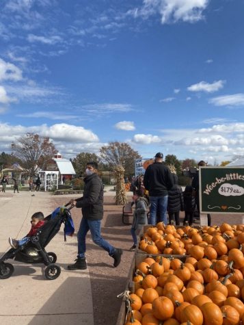 POTW: Gobert's farm