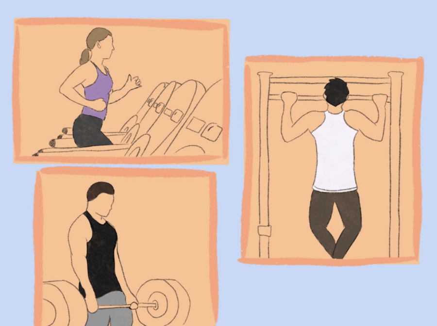 Students working out at the gym. Illustration by Emily Won, 24.