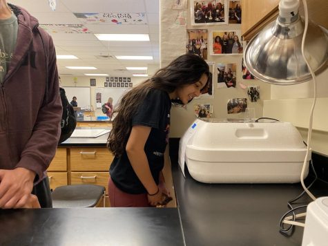 Navigation to Story: AP biology classes hatch and raise chicks