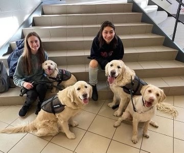 Joie Zaehler, 26, (left), poses with therapy dogs during a SOUL Buddies club meeting. Zaehler, a SOUL Buddies member, has worked with a variety of different therapy animals with the club. Photo provided by Joie Zaehler, 26.