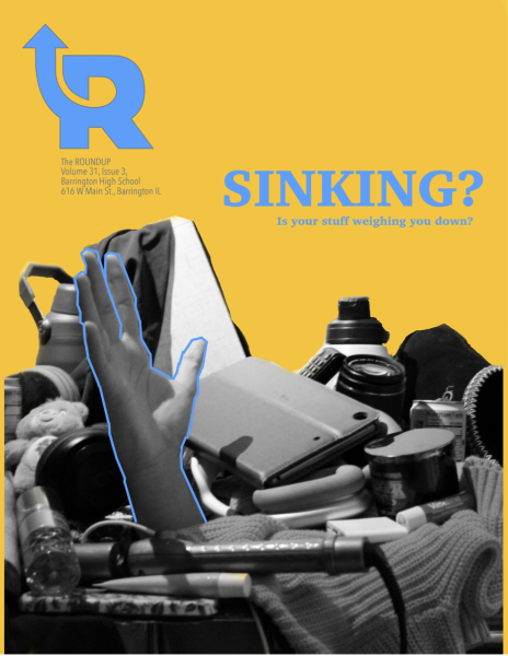 Navigation to Story: Volume 31, Issue 3: Sinking?