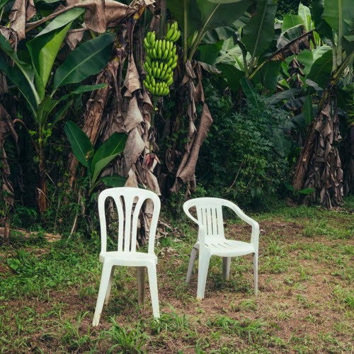 Una Carta de Amor a Puerto Rico