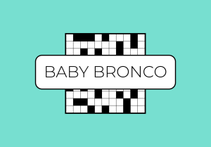 Baby Bronco: April 28, 2026