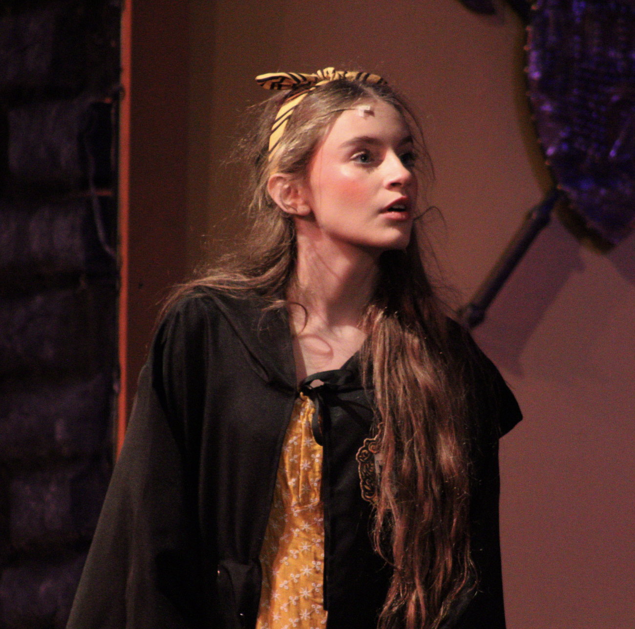 Gallery: "Puffs" Spring Play Performance