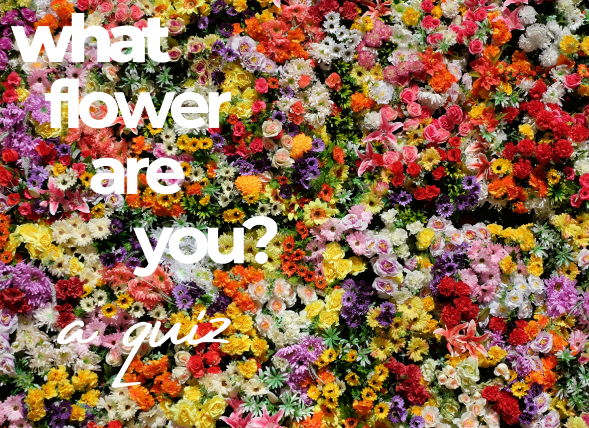 Quiz: What Flower Are You?